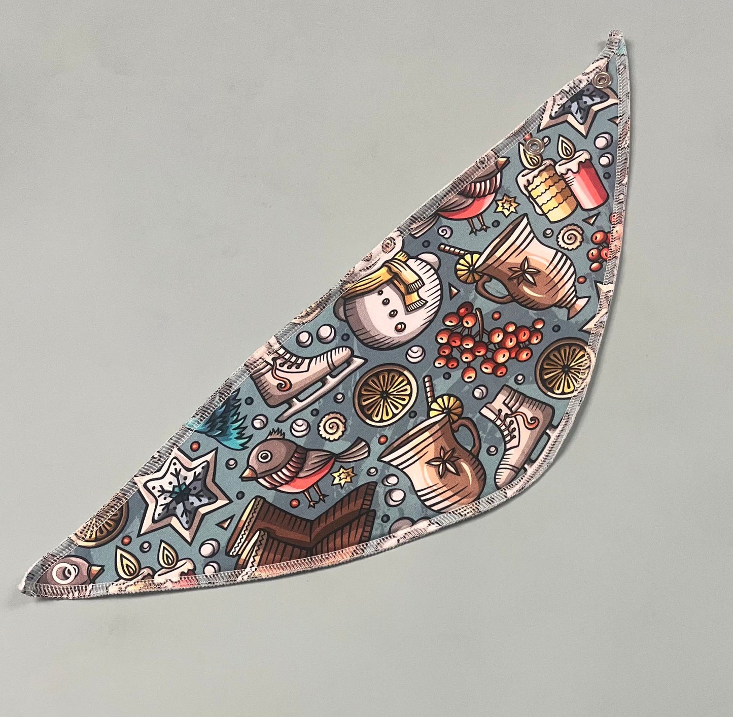 Icy Weather Dribble Bibs