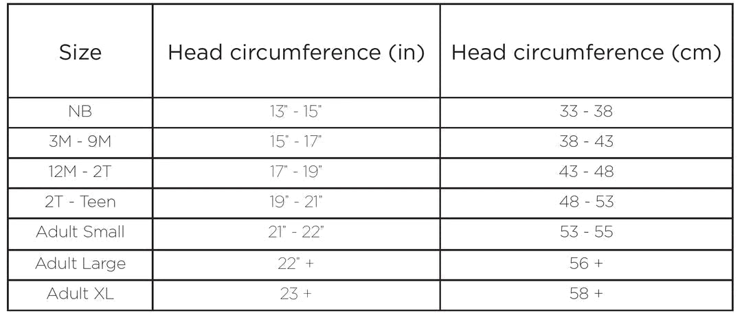 Christmas Express Beanie