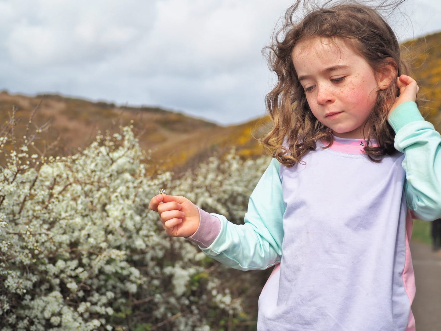 Colour Block Sweatshirts