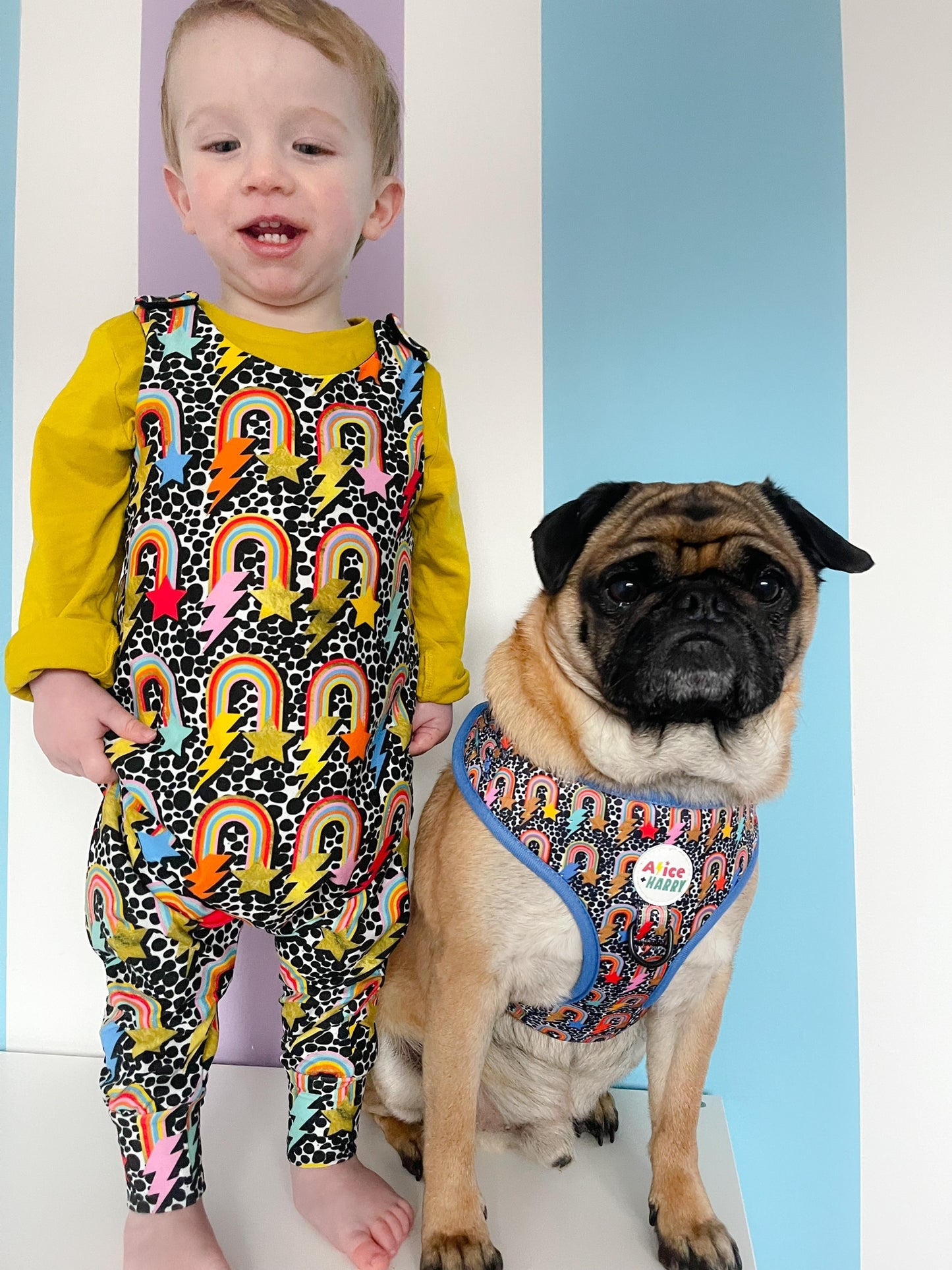 Bowie Rainbow Adjustable Pet Harness