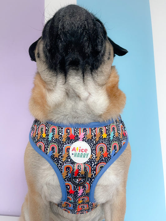 Bowie Rainbow Adjustable Pet Harness