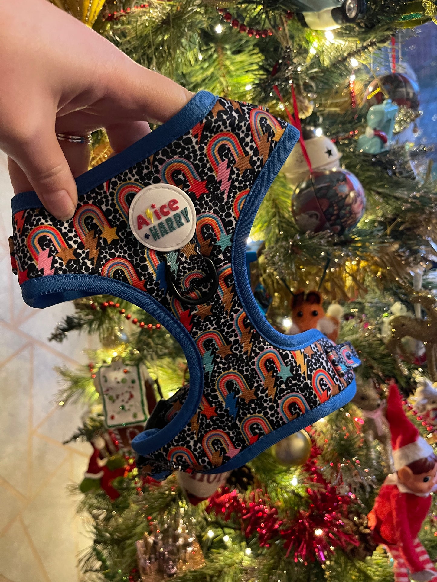 Bowie Rainbow Adjustable Pet Harness