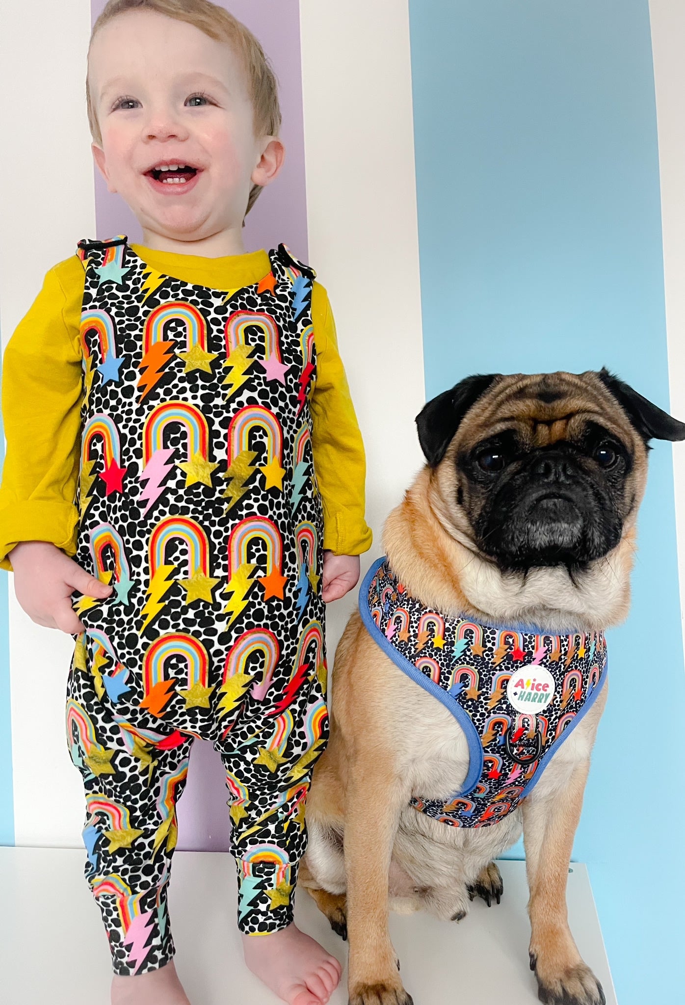 Bowie Rainbow Adjustable Pet Harness