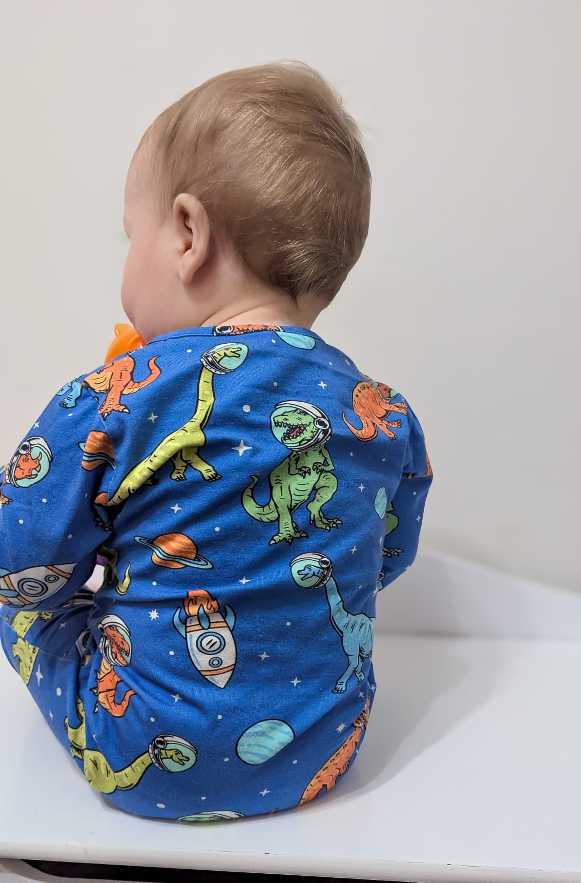 Ready To Post Spacesaurus Standard Jersey Zipped Sleepsuits