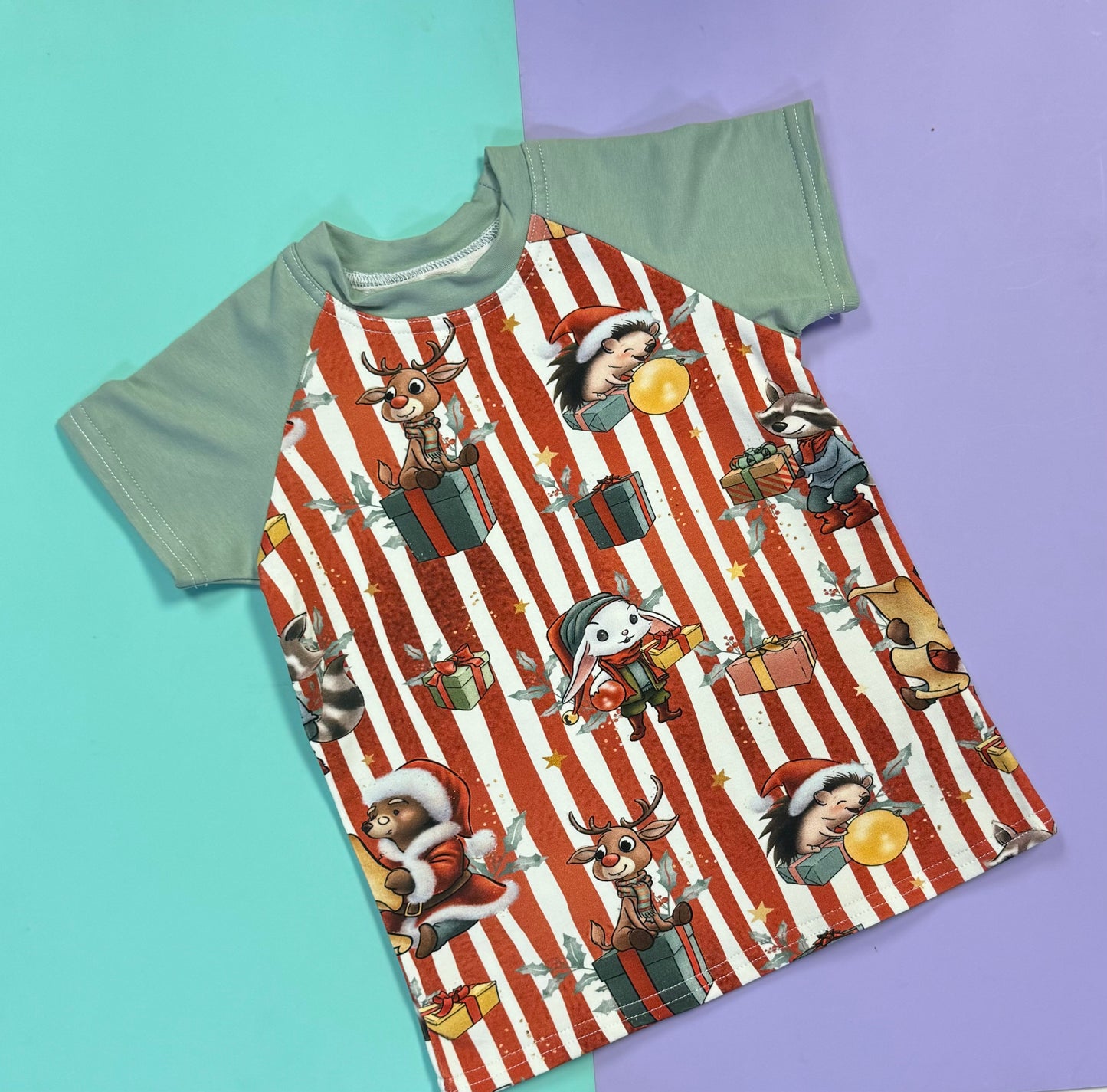 Pre Made Stripey Christmas Raglan