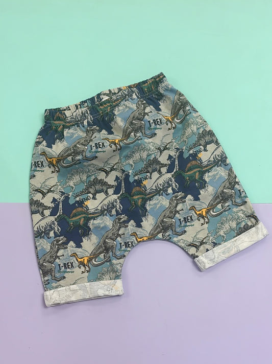 Pre Made Jurassic Journey Skater Shorts