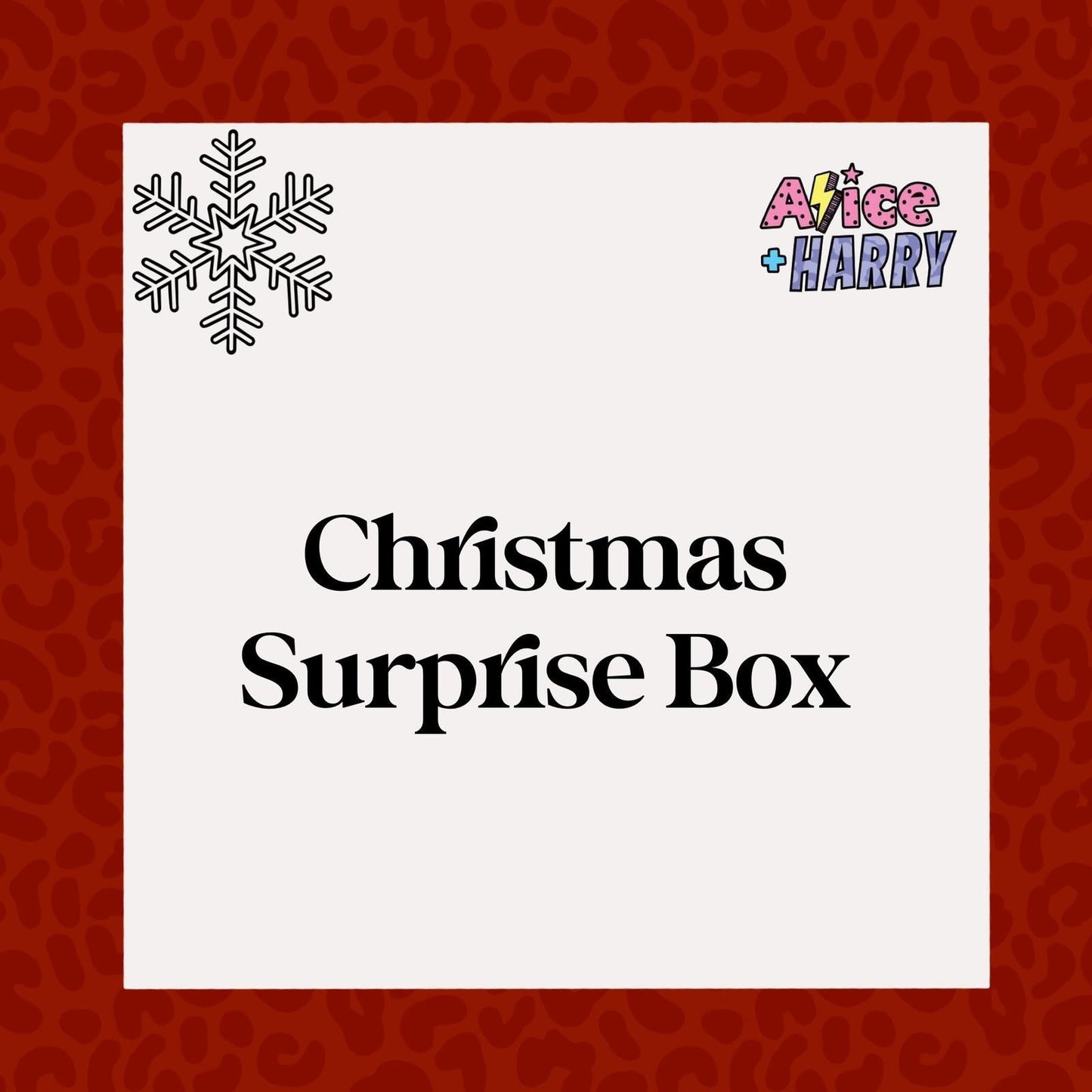 GET DOUBLE WHAT YOU PAY! Christmas / Winter themed Surprise Orders