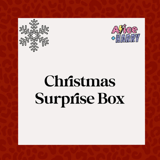 GET DOUBLE WHAT YOU PAY! Christmas / Winter themed Surprise Orders